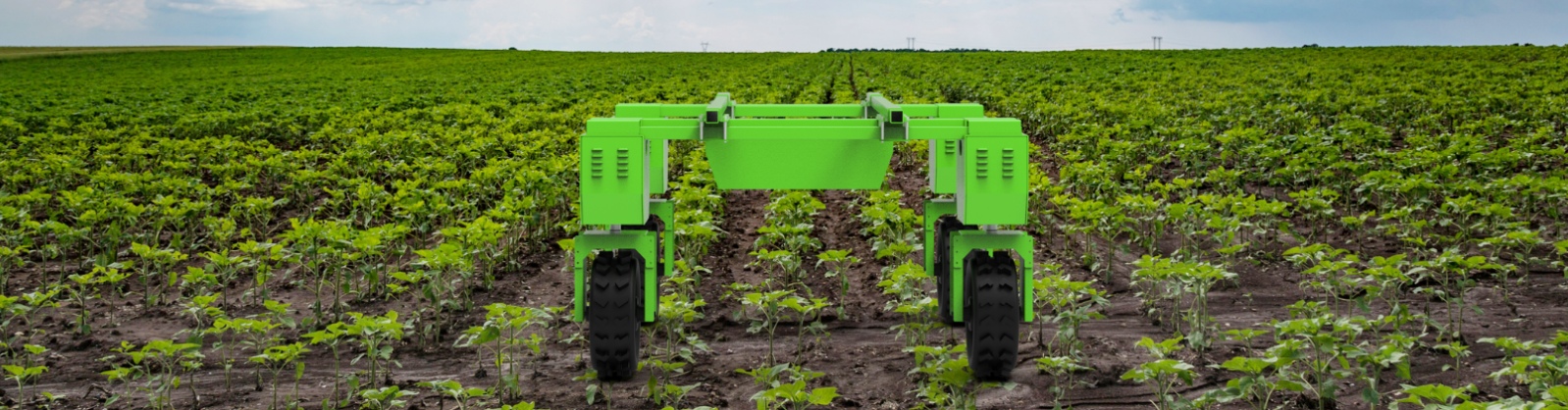 ¿Cuál es la función del chasis en un robot agrícola? ¿Cuál es la función del chasis en un robot agrícola?