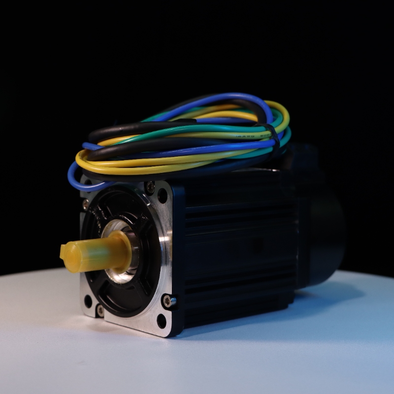 Servo Motor 1000W 48V
