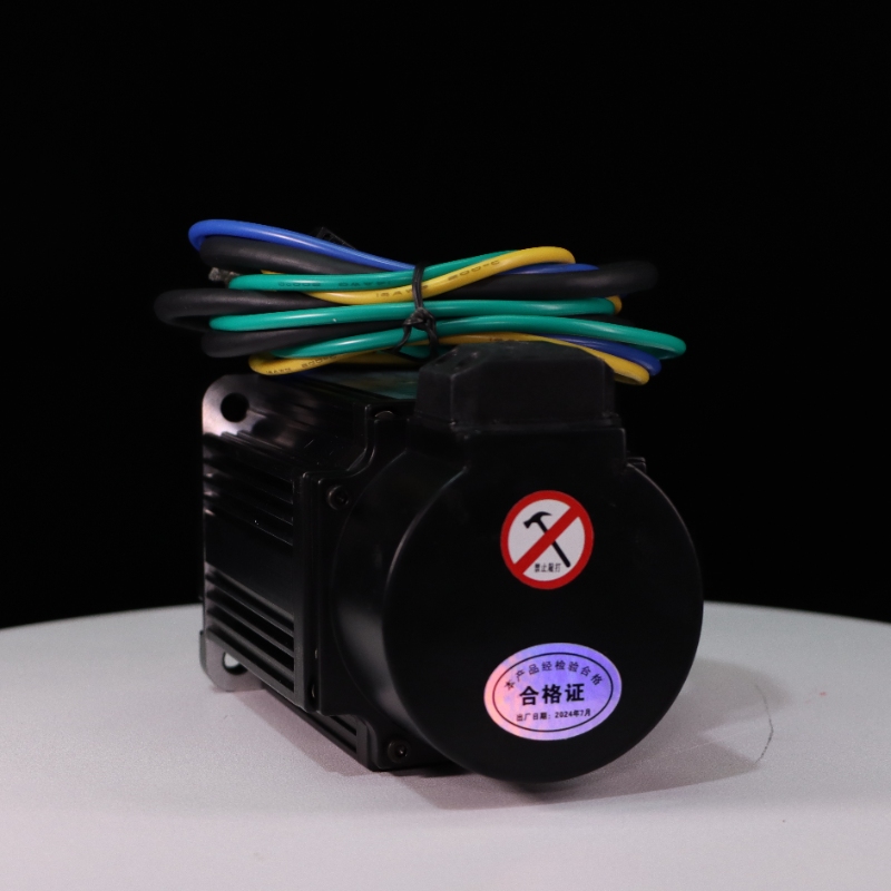 Servo Motor 1000W