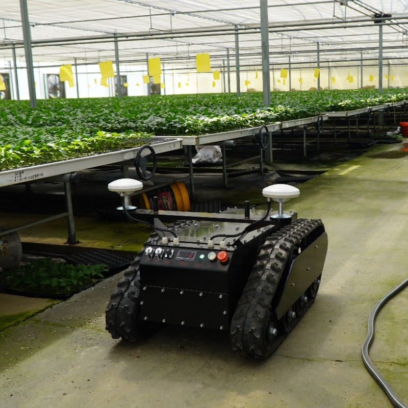 Kit de chasis de robot con orugas