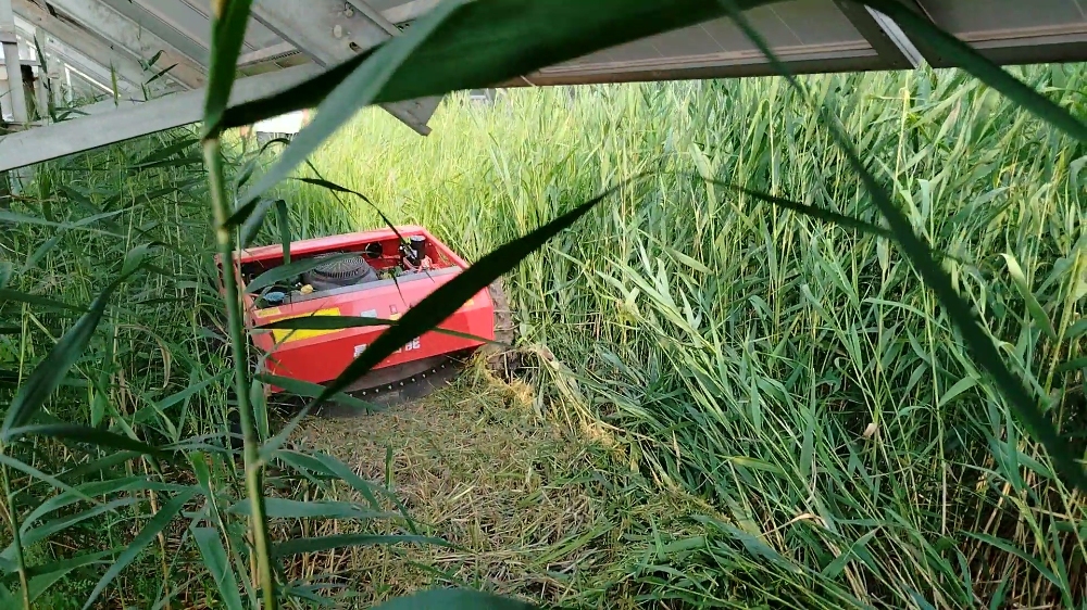 tondeuse à gazon - 4.jpg