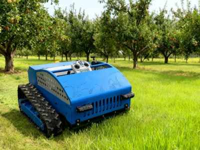 원격 조종 잔디깎이 사용의 장점은 무엇일까요?