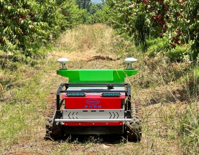 What Are the Safety Precautions for Remote Controlled Lawn Mowers?