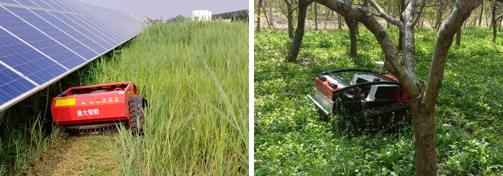 Remote Control Mower