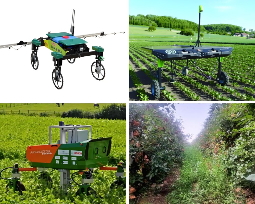 Сельскохозяйственное четырехколесное четырехповоротное шасси с регулируемым шагом: переосмысление нового стандарта для интеллектуального сельскохозяйственного транспорта Сельскохозяйственное четырехколесное четырехповоротное шасси с регулируемым шагом: переосмысление нового стандарта для интеллектуального сельскохозяйственного транспорта