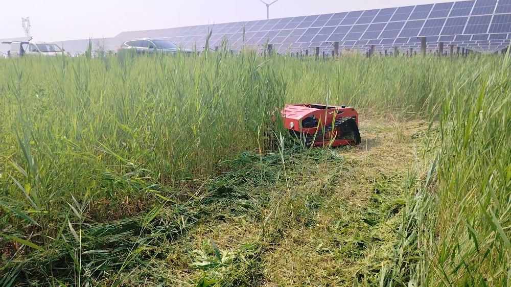 Comment les tondeuses à chenilles contribuent-elles à la gestion efficace des centrales photovoltaïques ?