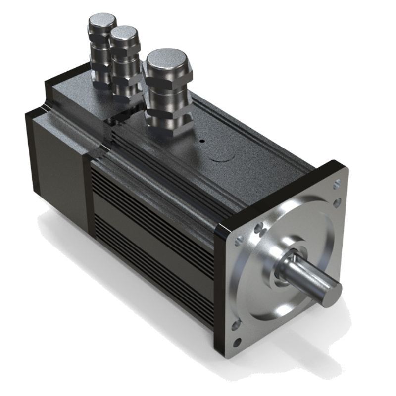 Servomotor a prueba de explosiones 2200W 48V
